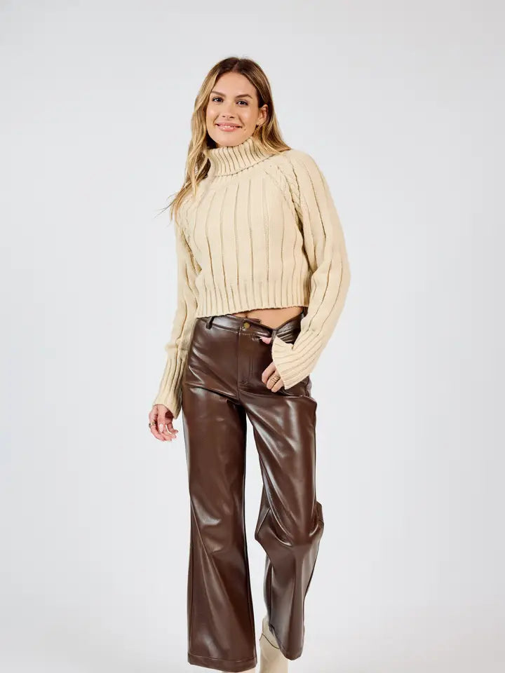 Faux Leather Brown Pants