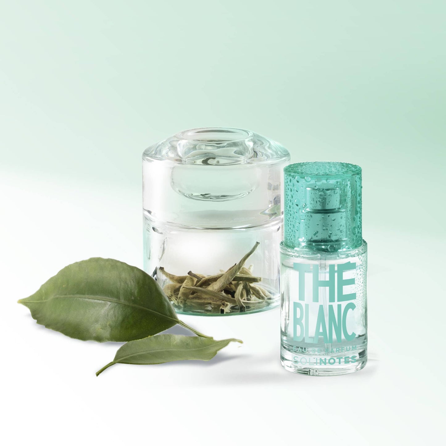 Mini White Tea Perfume 0.5 oz- CLEAN BEAUTY