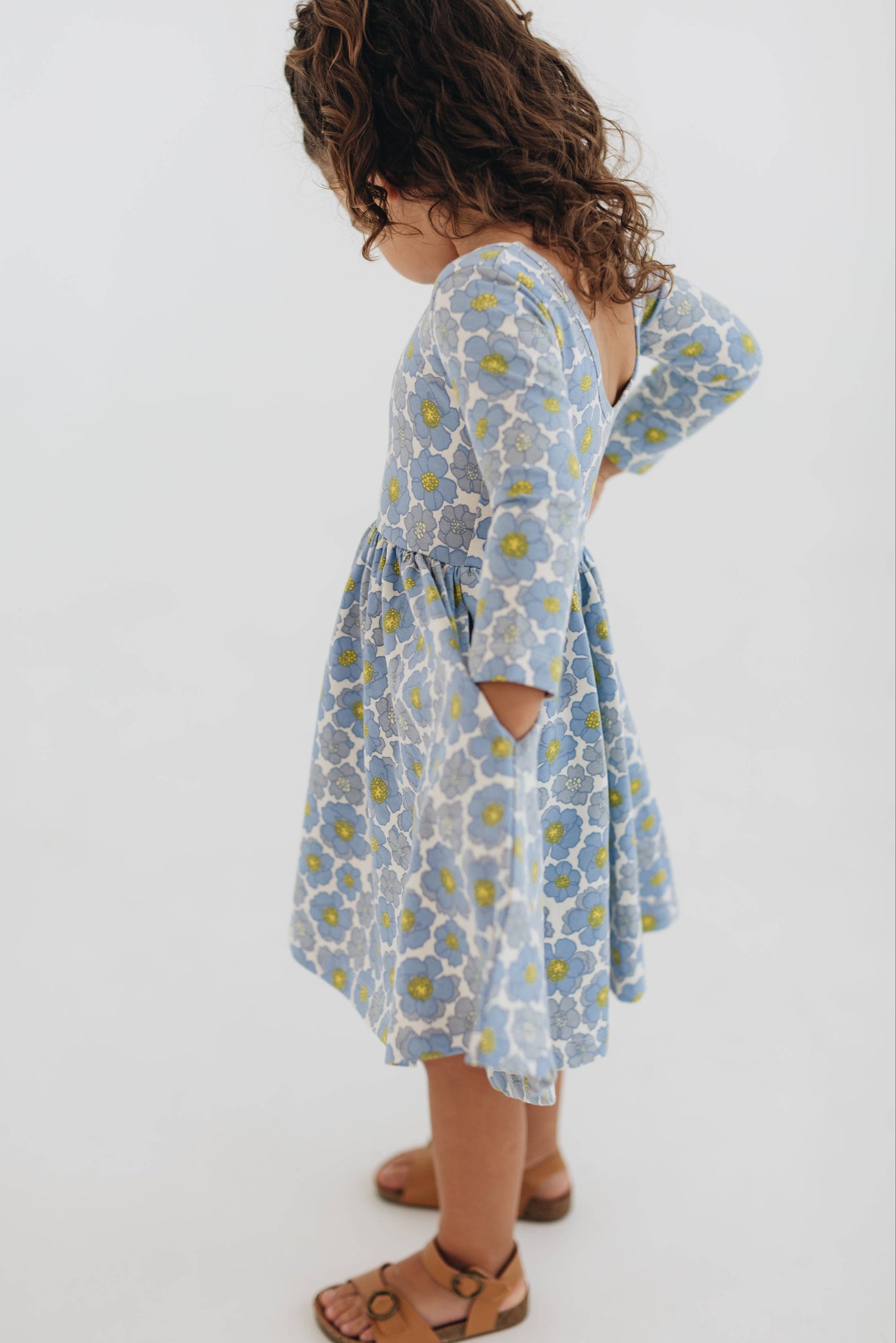 Good Apples - 3/4 Sleeve Twirl Dress in Periwinkle Meadow