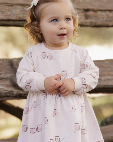 Raglan Dress in Owls | Rylee + Cru