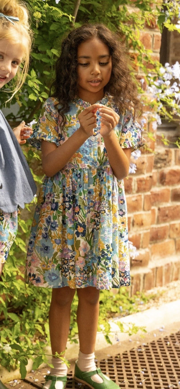 Pink Chicken - Little Girls Autumn Dress