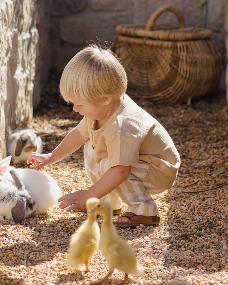 Quincy Mae - Henry Summer Stripe Pant