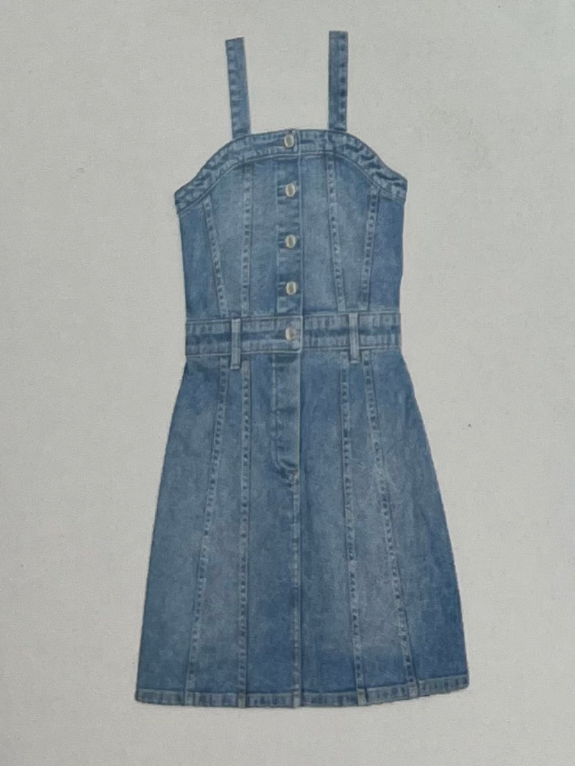 Trucker Dress Mini in Meadow Lake - DL1961
