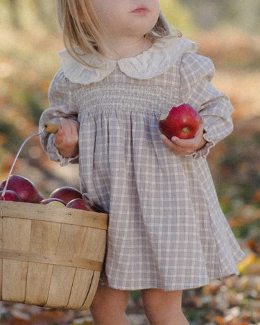 Callie Blue Gingham Dress | Rylee + Cru