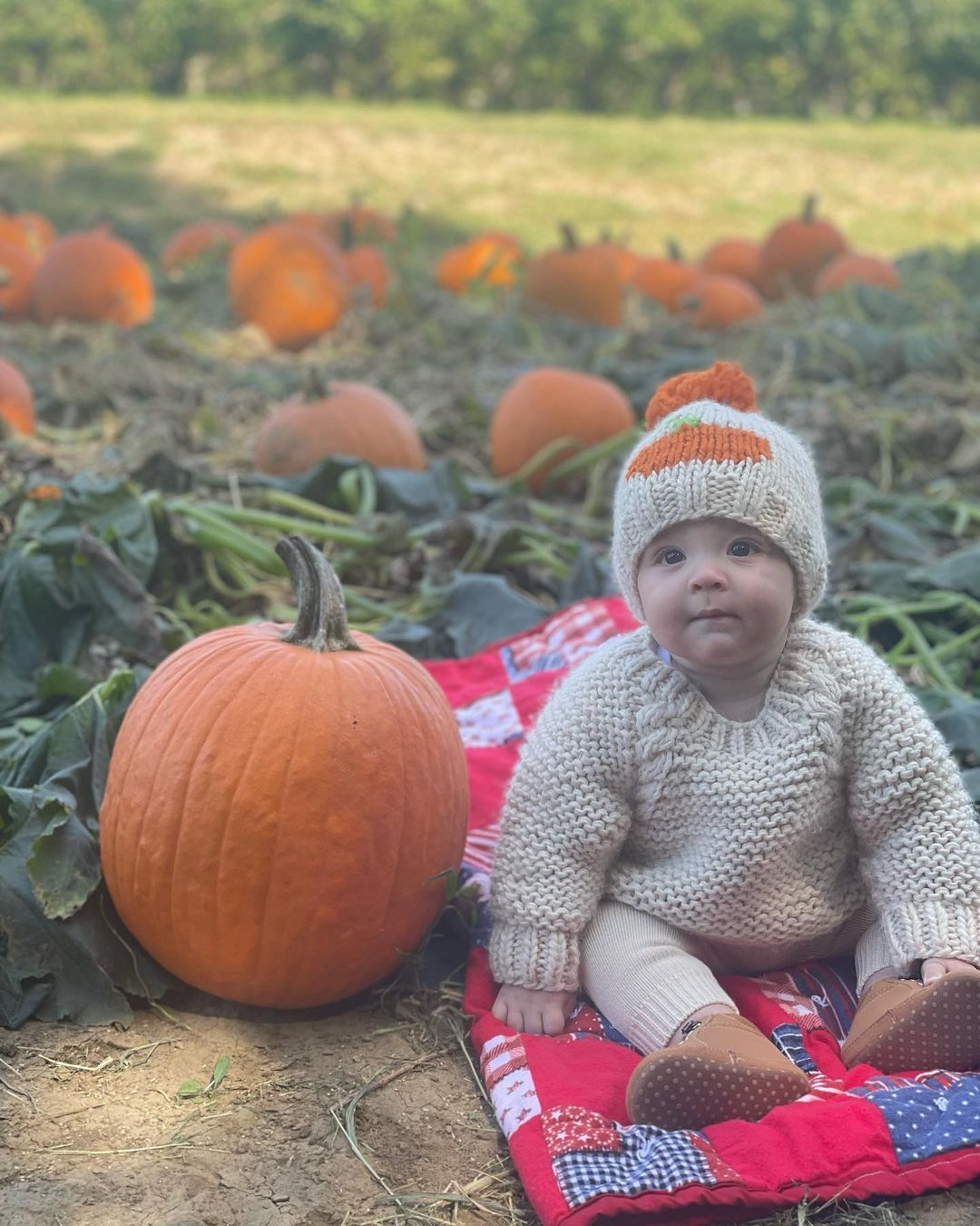 Pumpkin Hand Knit Beanie Hat Baby & Kids