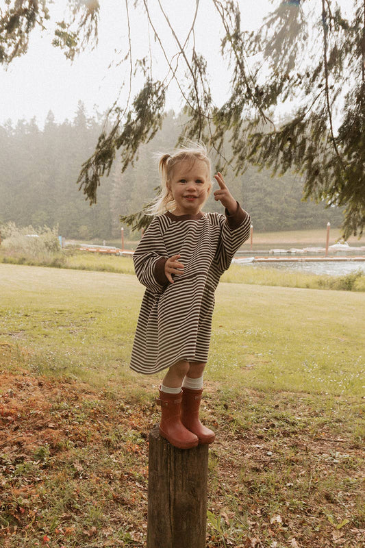 Kelsey Dress in Turtledove Chocolate Stripe - Winnie & Crew