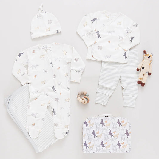 Tiny Dogs Baby Take Home Set - Nesting Box